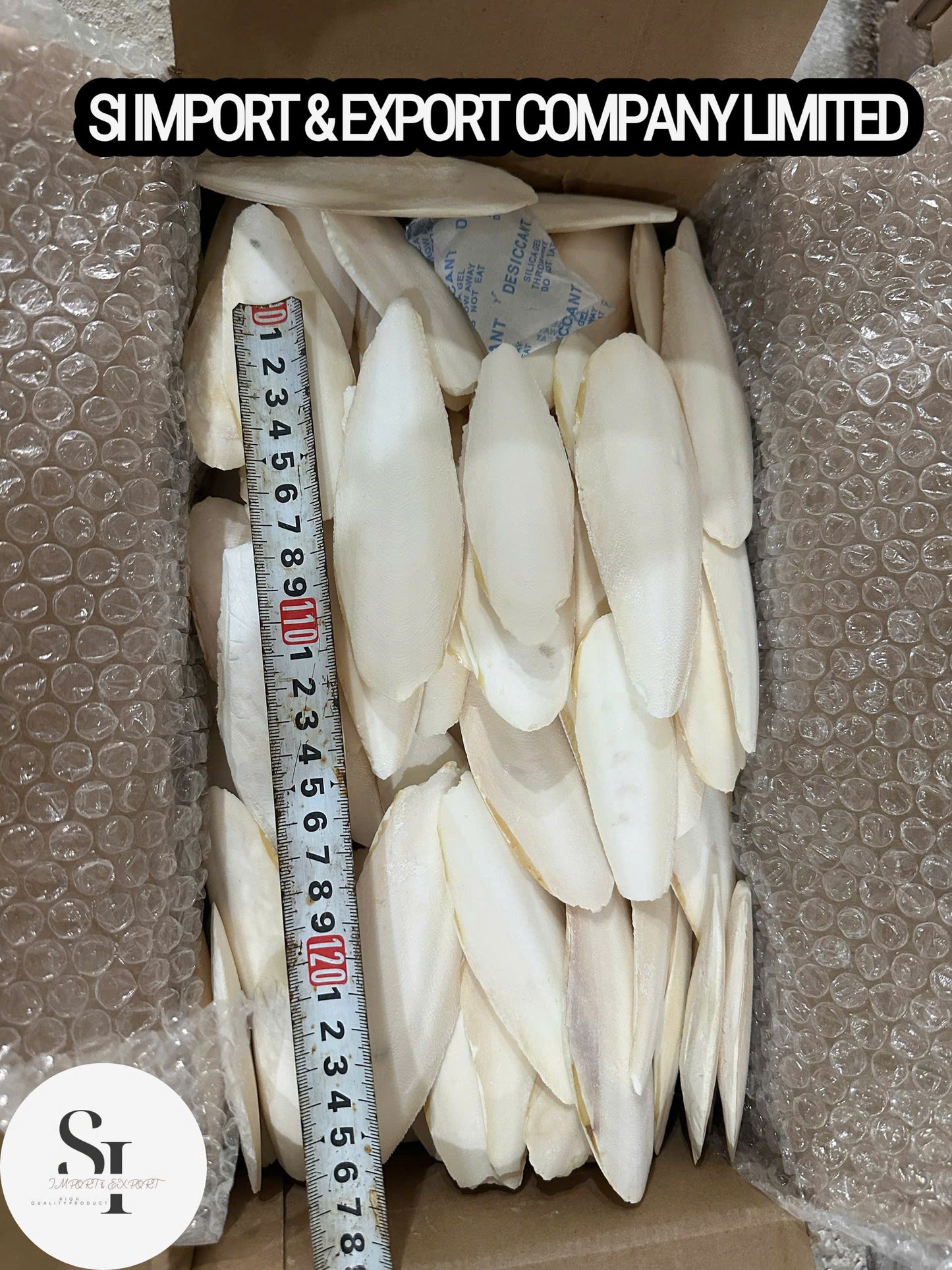 Cuttlefish Bone
