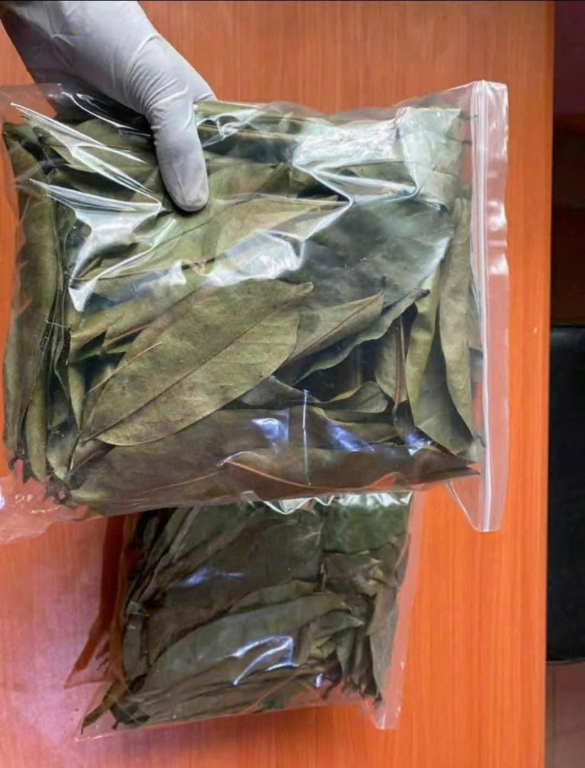 Dried Soursop Leaves