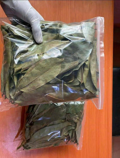 Dried Soursop Leaves