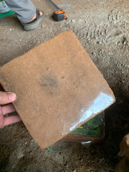 Coconut Substrate For Reptile