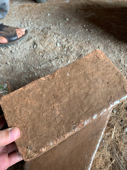 Coconut Substrate For Reptile