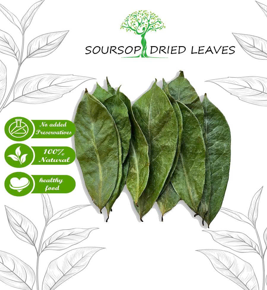 Dried Soursop Leaves