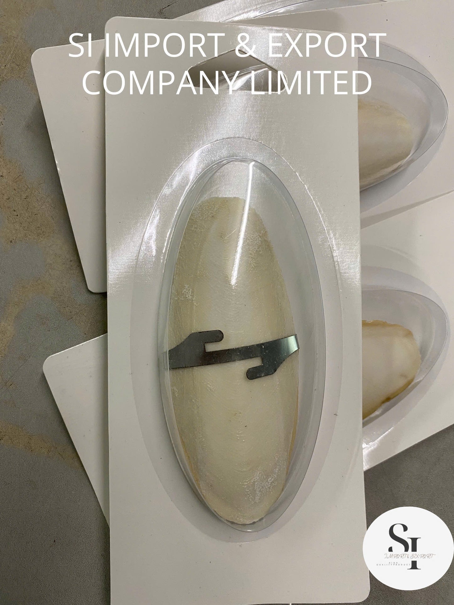 Cuttlefish Bone