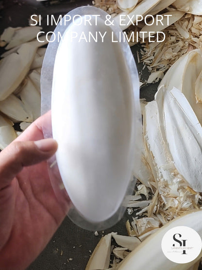 Cuttlefish Bone