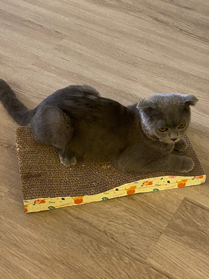 Paper Cat Scratcher