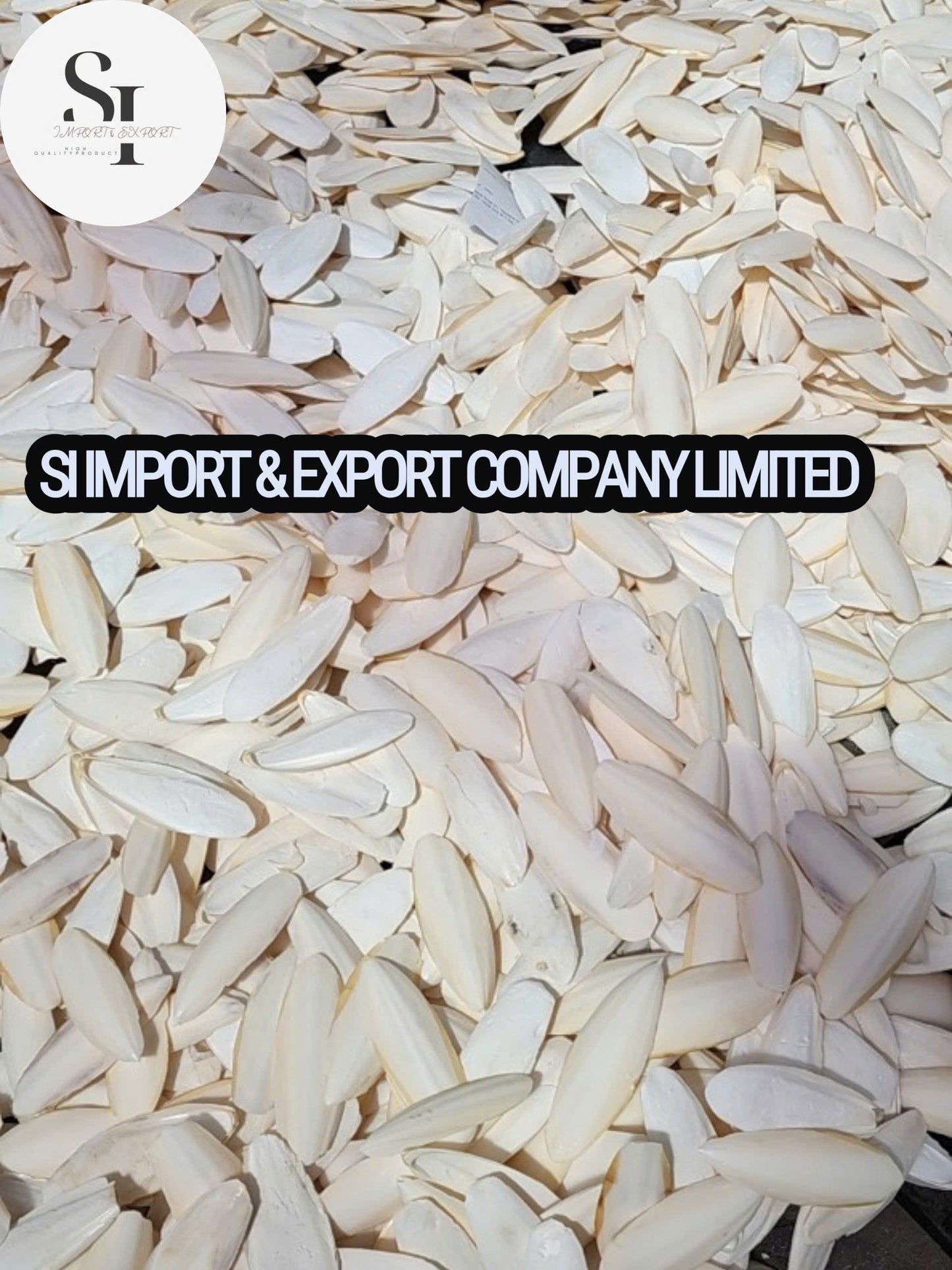 Cuttlefish Bone