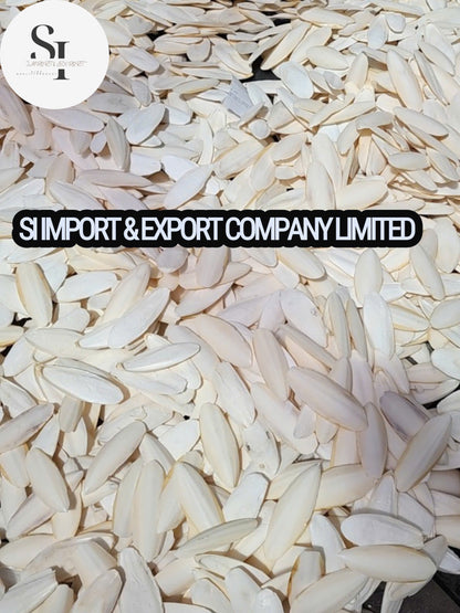 Cuttlefish Bone