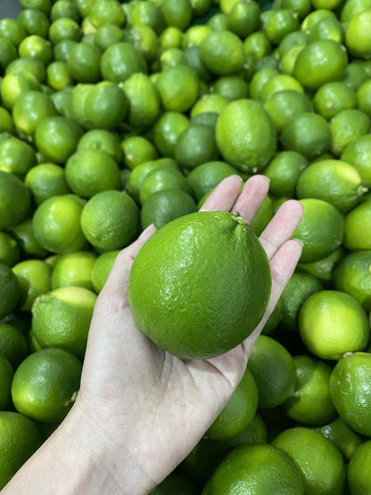 Fresh Seedless Lemon