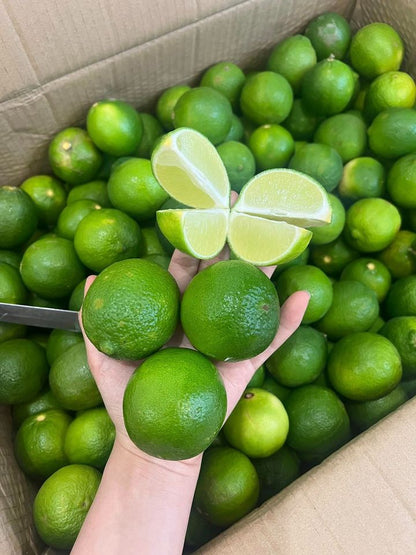Fresh Seedless Lemon