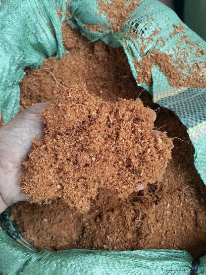 Coconut Substrate For Reptile