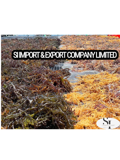 Dried Sea Moss