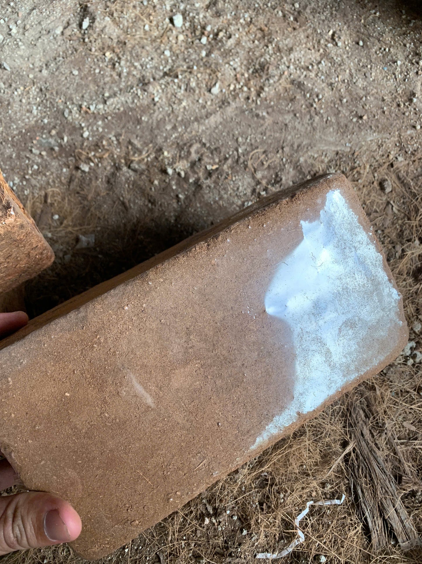 Coconut Substrate For Reptile