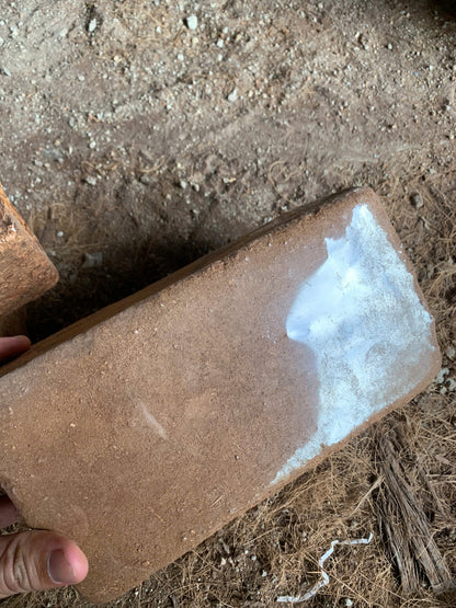 Coconut Substrate For Reptile