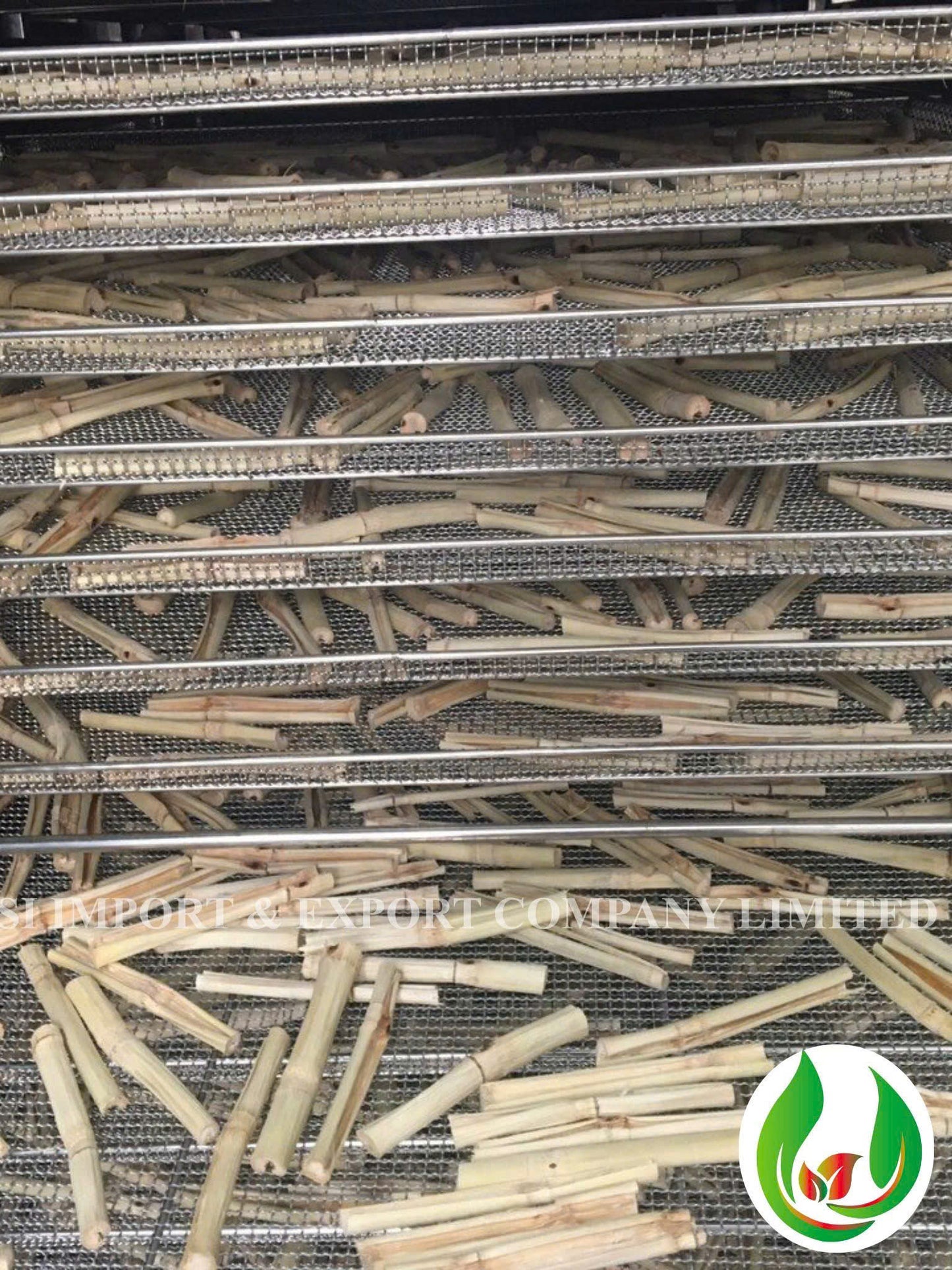 Dried Sugarcane Stick