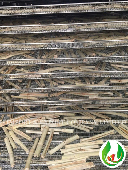 Dried Sugarcane Stick