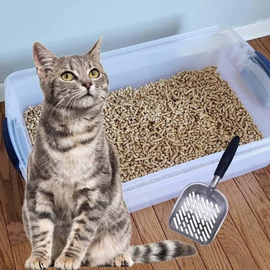 Cat Litter