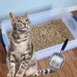 Cat Litter