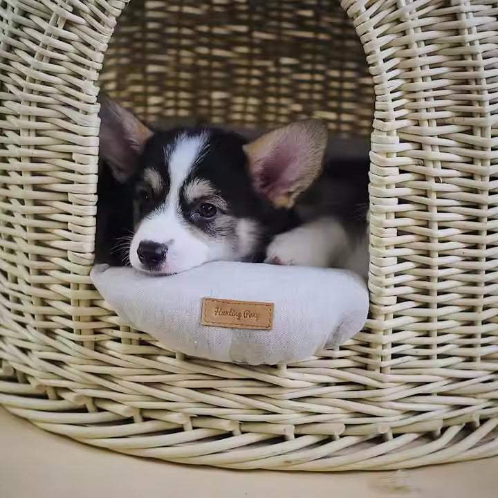 Rattan Pet House