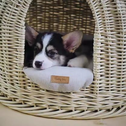 Rattan Pet House