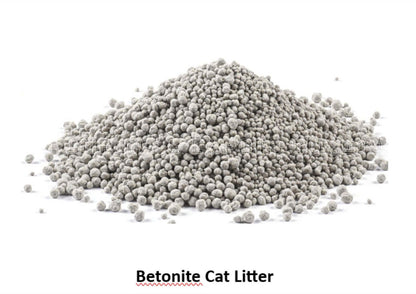 Cat Litter