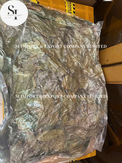 Dried Soursop Leaves