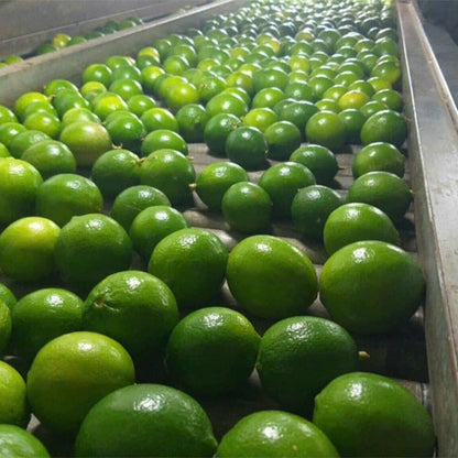 Fresh Seedless Lemon