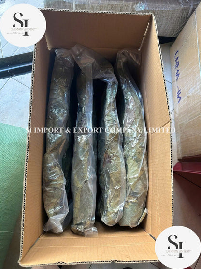 Dried Soursop Leaves