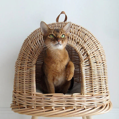 Rattan Pet House